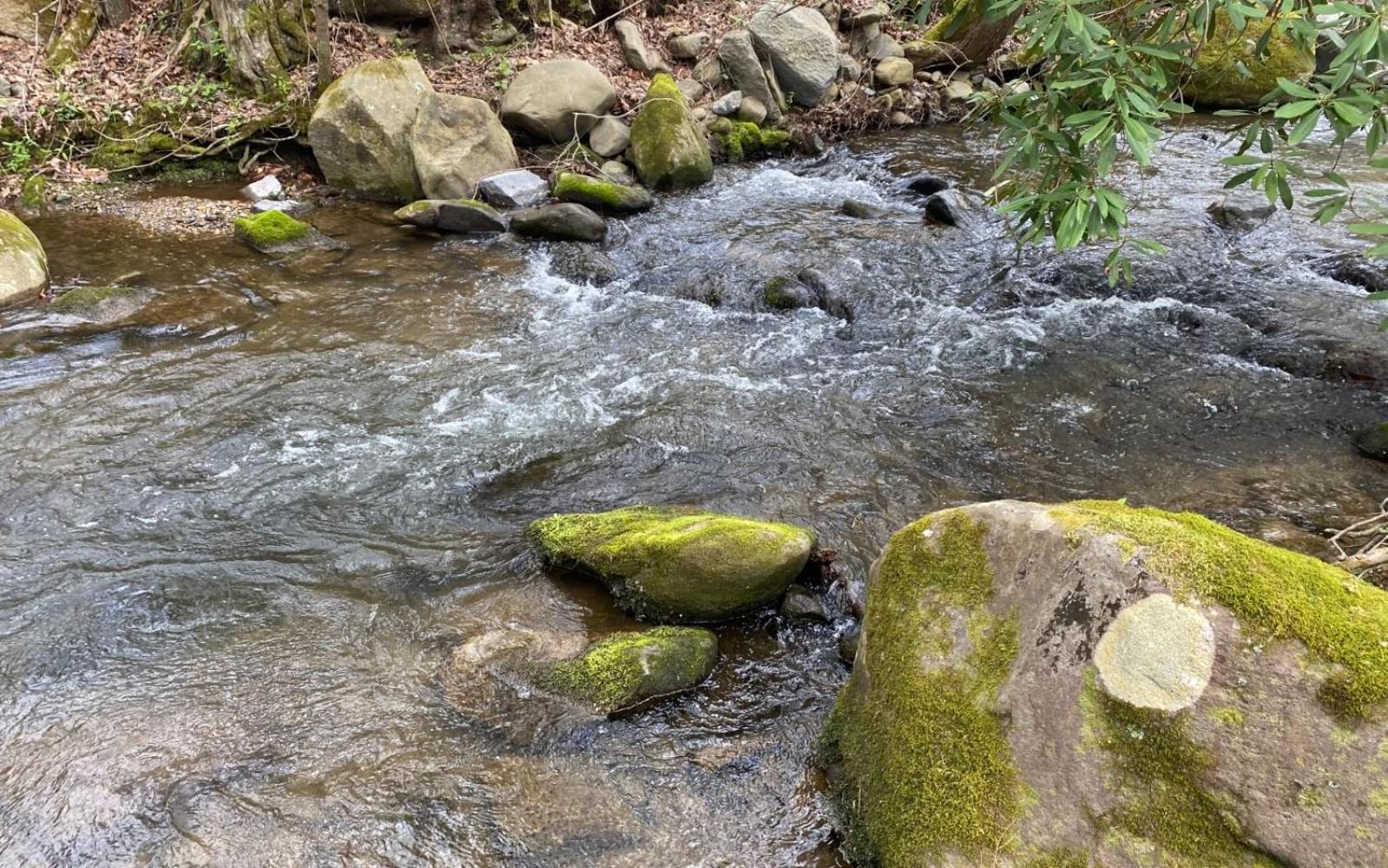 Вилла Shady Creek Гатлинбург Экстерьер фото